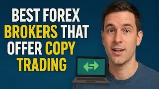 Best Forex Brokers That Offer Copy Trading | Copt trading platform
