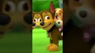 🐾paw patrol - Skye & chase😍😍😍🐾