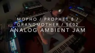 Prophet 08 / Mopho / Grandmother / SE 02 Live Ambient Analog Jam