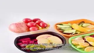 disposable plastic container, plastic tray, plastic bowl, cup, China Manufacturer, Price, quality