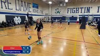 6v6 OVA vs Hummingbird Harmony Game 4 pt 2