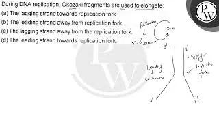 During DNA replication, Okazaki fragments are used to elongate: (a) The lagging strand towards r...