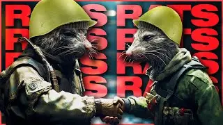 Rats Working Together in Tarkov - Escape from Tarkov