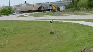 Canadian National  Train