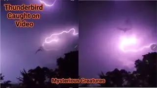 Lightning Strike Reveals Thunderbird Flying Through Storm