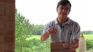 Super cola para tijolos ecológicos
