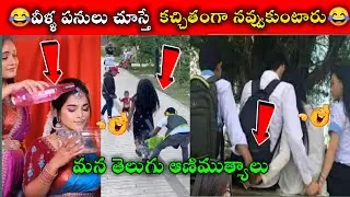 వీళ్ళ పనులు చూస్తే కచ్చితంగా నవ్వుకుంటారు || Social Media Funny Videos || Mr Akhil Rocky Videos