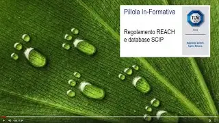 Pillola In-formativa: il Regolamento REACH e il database SCIP