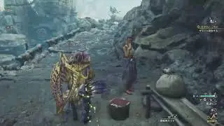 [MHWW]#6 上位きtr
