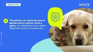 Descubre por qu&eacute; la p&oacute;liza Salud para Mascotas de SURA es la mejor opci&oacute;n