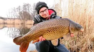 Łowisko Różany Potok w Poznaniu - karp 10,7 kg na method feeder | Extru Fish
