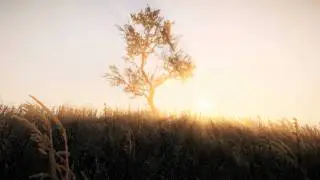 CryEngine 3 Time of Day Demo