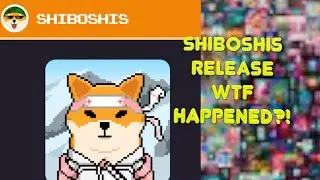 Shiboshis Release WTF Happened?