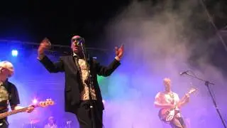 Shiny happy people- R.E.M. tribute band