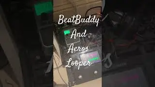 Live Looping Stevie Nicks Edge of Seventeen #beatbuddy #livelooping #singularsound #shorts