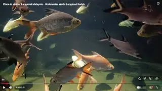 Place to visit at Langkawi Malaysia - Underwater World Langkawi Kedah