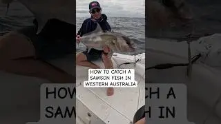 HOW TO CATCH A SAMSON FISH IN WESTERN AUSTRALIA #fishingvideo #jigging #boating