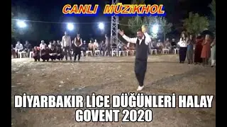 diyarbakır lice köy düğünleri halay govent grani 2020