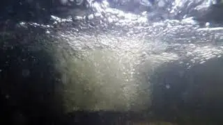 Royalty Free Underwater Bubbles Stock Video Footage