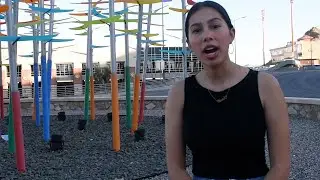 Borderzine impact