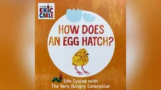 HOW DOES AN EGG HATCH? By Eric Carle: kids book read aloud