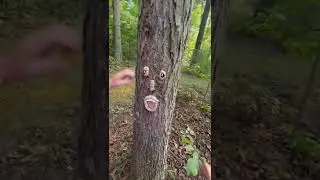 I&rsquo;m obsessed with these tree faces 🤣 #shorts #outdoordecor