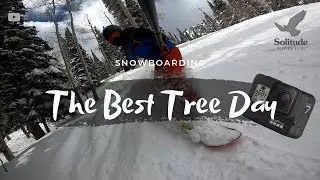 Snowboarding Through The Trees at Solitude Mountain Resort