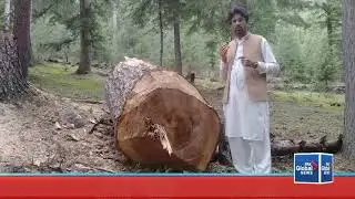 #swat kalam forest destroyed natural beauty of swat