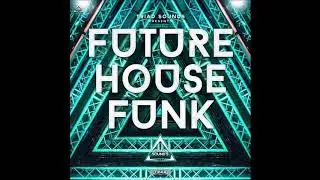 Future House Funk Sample Pack  - Free Download (MEGA)