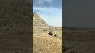 Сколько всего Пирамид?!?! 😱#egypt #travel #pyramid #pyramidsofegypt #египет #пирамида #каир