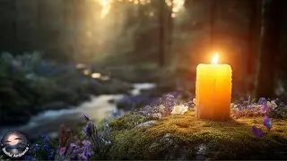 Candlelit Forest Stream at Sunset 🕯️ Soothing Nature Sounds for Sleep & Relaxation