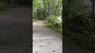 Clark beach park hike