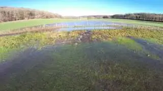Dorset Floods Jan 2013