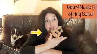 Обзор 12-струнной гитары gear4music thinline с круглой спинкой