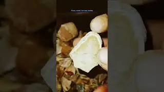 #flintknapping  #chert #arrowhead #geology #flint #rockhounding