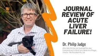 Acute Liver Failure &ndash; A review of recent publications