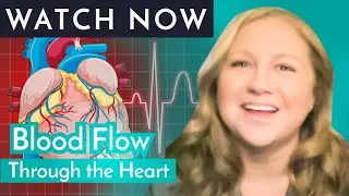 Blood Flow Through the Heart for Nursing Students