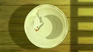 White dolphin