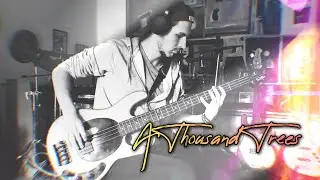 Stereophonics A Thousand Trees Bass Cover TABS daniB5000