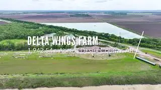 Delta Wings Farm
