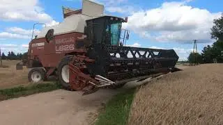 ŻNIWA 2025 CASE MX150 LAVERDA L626 SAME LASER 150