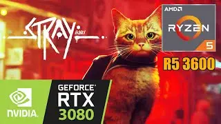 Stray | Nvidia RTX 3080 | Ryzen 5 3600 | 1080p PC Gameplay Benchmarks