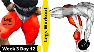 General Muscle Building Week 3 Day 12 - Legs Workout-