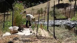 Weed destruction at the farm