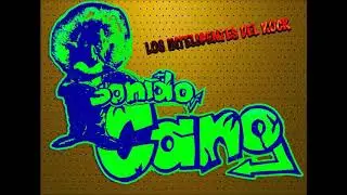 SONIDO CANO whatever you what
