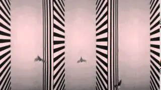 Budgerigars flying along a tunnel with horizontal/vertical stripes