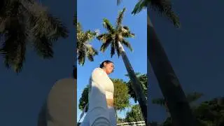День из моей жизни в качестве студента выпускного курса колледжа в Майами