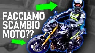 CHE VUOLE FARE? | Spavald 92, Freccia Verde, NU89