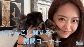猫ちゃんに関する質問答えてみた！　#後編