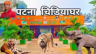 #पटना चिरियाघर Patna Zoo Bihar Tour🪿🐊🐅🕊